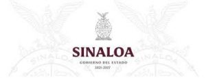 descarga (10)