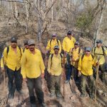 Sebides, sin bajar la guardia ante incidencia de incendios forestales en Sinaloa