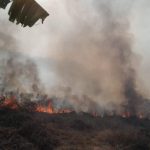 Sebides felicita a combatientes de incendios forestales en su día y reporta 18 siniestros liquidados