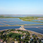 Fortalece Sinaloa la acuacultura con el establecimiento de periodos de siembra y cosecha de camarón para el ciclo 2026