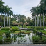 Gobierno estatal refuerza acciones para mejorar el Jardín Botánico y el Parque Ecológico de Culiacán